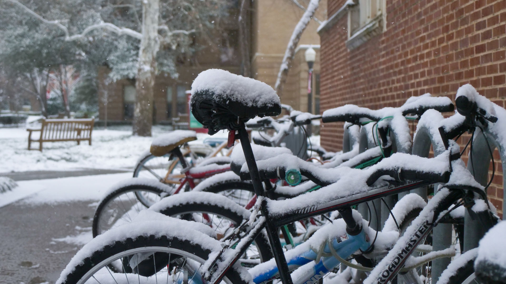 Bikes in snow